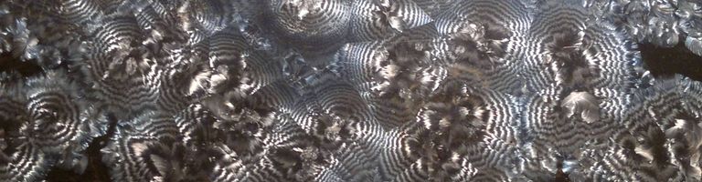 paranoq cover image