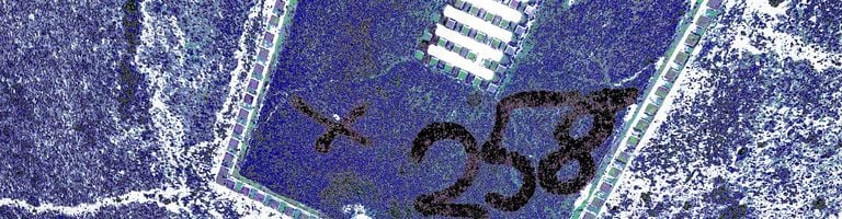 Pries Verhon cover image