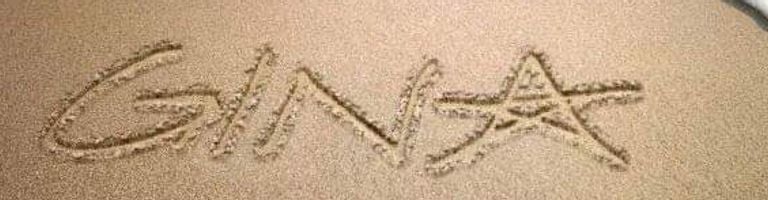 Gina cover image