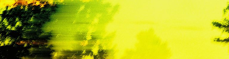 Scherbe cover image