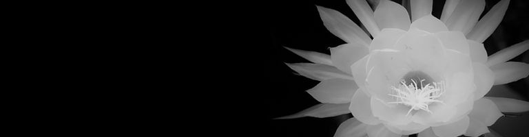 Binah cover image