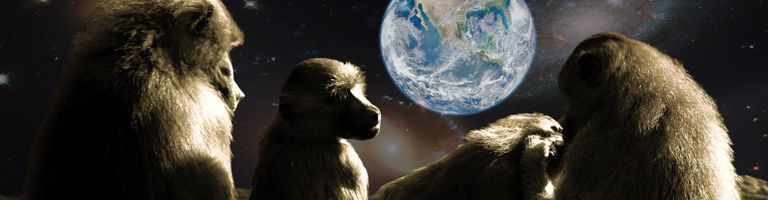Mat’s Jungle Chimp Mixes cover image