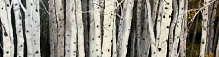 Sandy Cooks cover image