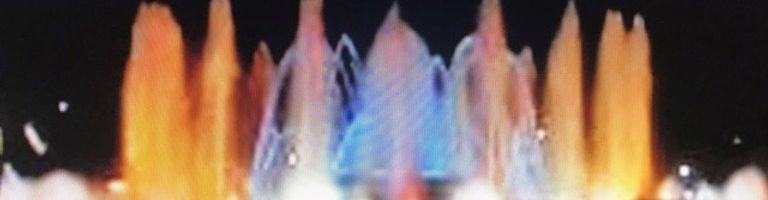 traceyd cover image