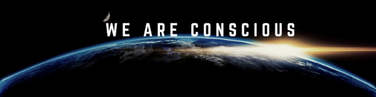 Conscious Triple Seven cover image