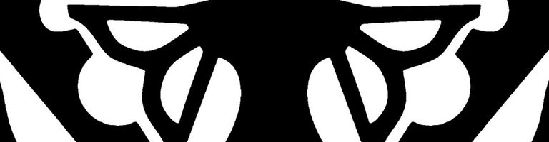whitesaid cover image