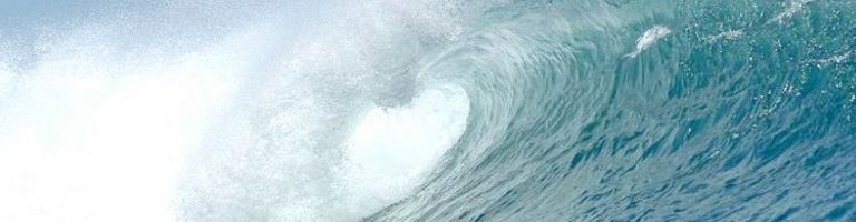 The Seventh Wave cover image