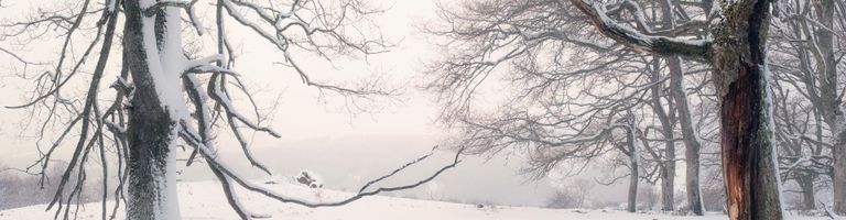 unname cover image