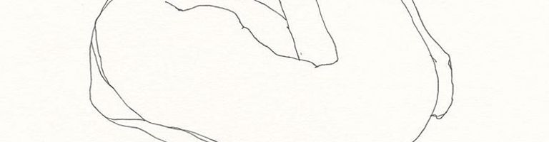 Amer cover image