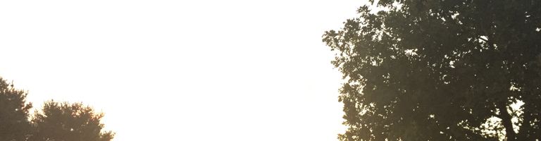 carriegold cover image
