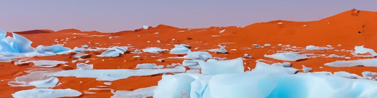 Icewax cover image
