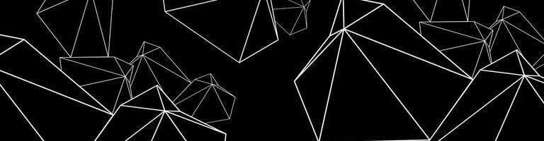 Neuvoids cover image