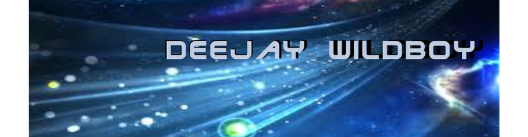 deejay wildboy cover image
