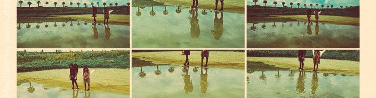 Πάνος Δρακόπουλος cover image