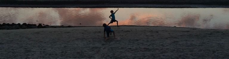 Cheffls cover image