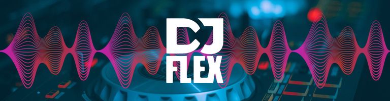 DJ FLEX cover image