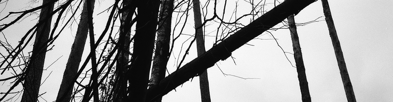 ∆rs cover image
