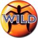 Danny P - Wild FM Classic's Mix logo