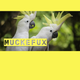 Jugendradio: die Muckefux zu Besuch im Tierheim 04.03.24 logo