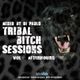 DJ PAULO-TRIBAL BITCH SESSIONS Vol 1 (Afterhours)  logo