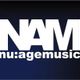 Jam Thieves NAM podcast 10 logo