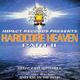 Druid & Sharkey @ Hardcore Heaven - The Rhythm Station 1995 logo
