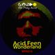 Acid Feen - Wonderland EP (Mixed Preview by the Acid Driver) logo