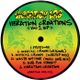 Vibration Lab Live ft. Parly B and Kuntri Ranks - playing through Dub Smugglers Sound System logo