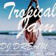 TROPICAL JAM -summer mix tape- DJ DREAM logo