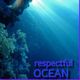 Re-spect-ful OCEAN logo