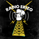 RADIO ERIZO-LA BALLENA DE JONAS, LCD SOUNDSYSTEM, RADIOHEAD, LED ZEPELLIN, ALICE IN CHAINS Y MÁS logo