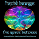 Liquid Lounge - The Space Between... (Digitally Imported Psychill) logo
