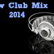 New Club Mix 2014 | New Party Mix logo