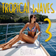 Tropical Waves III | The Boat Mix [Deep & Tropical House 2020] logo