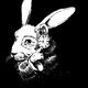 Follow The White Rabbit (4/20 festival at Tigullio // The Orb stage) logo