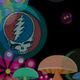 Grateful Dead Gathering #8 (2016) - 2nd Set - Crowd's Picks logo