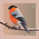Chromacast 50 - Placebo eFx logo