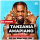 Tanzania Amapiano Mix 2023 | Diamond ,Harmonize, Jux, Enjoy, Rayvanny, Shu, Marioo, Alikiba logo