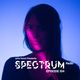 Joris Voorn Presents: Spectrum Radio 104 logo