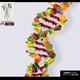 TEMA: Genómica nutricional y el ejercicio  INVITADA: Mtra. Rubí Medina Aguilar PROGRAMA: 222 logo