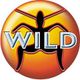 WILD FM DJ DIMIK [SAT NIGHT MIX UP SET 1] logo