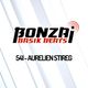Bonzai Basik Beats #541  (Radioshow 15 January - Week 02 - mixed by Aurelien Stireg) logo