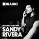 Defected In The House Radio 1.7.13 - Guest Mix Sandy Rivera logo