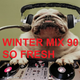Winter Mix 90 - Podcast 14+15 (Double the Mix Double the Fun) logo