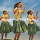 Hawaiian Mele Hula Mix Vol.1 logo