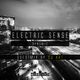 CJ Art - Electric Sense 014 Guest Mix (February 2017) on Sincity FM logo