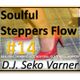 Soulful Steppers Flow #14 (Chicago Step-Two Step-Hand Dance-Boppers-Ballroomers) - DJ Seko Varner logo