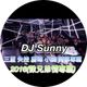 DJ Sunny - 三蘆 失控 書瑋 小展 阿華專屬 2016(致兄弟情專屬) logo