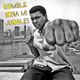 Rumble Inna Mi Jungle Mixtape logo
