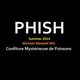 Phish Summer 2014 logo